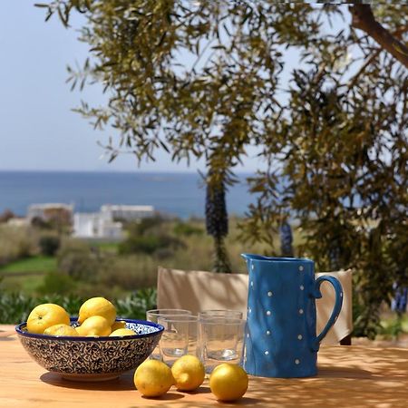 Good Life Greece Eco Villas Posidhonia  Exterior photo