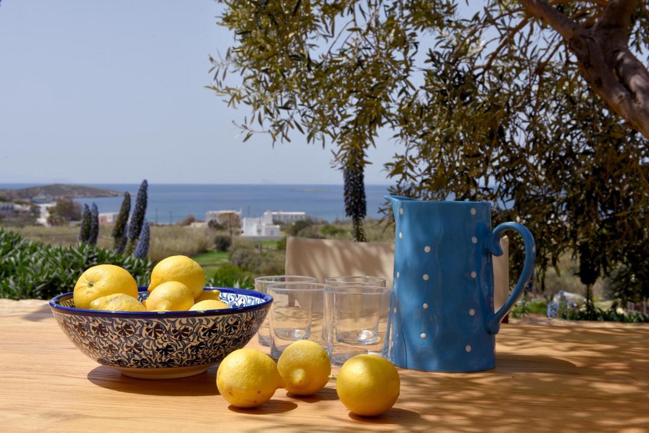 Good Life Greece Eco Villas Posidhonia  Exterior photo
